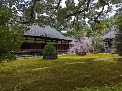 青蓮院門跡(京都府)