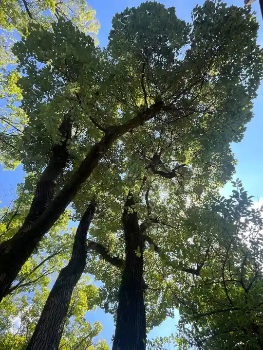 安井金比羅宮(京都府)