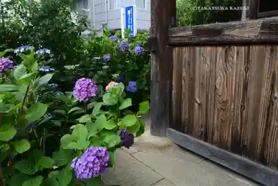 弘明寺(神奈川県)