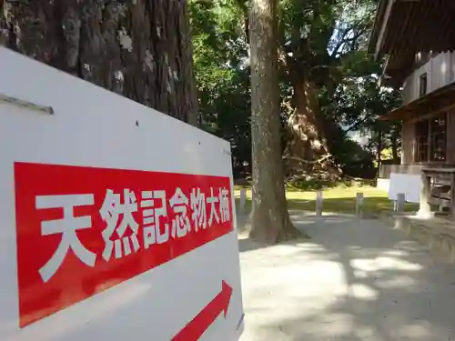 川津来宮神社の建物その他