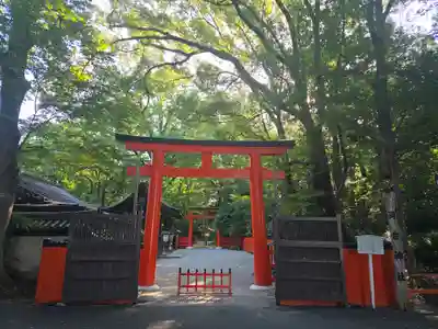 河合神社（鴨川合坐小社宅神社）(京都府)