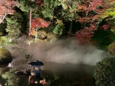 宝登山神社(埼玉県)