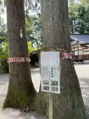 雄山神社前立社壇(富山県)