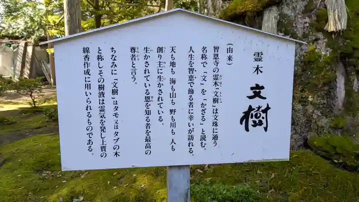 智恩寺(京都府)