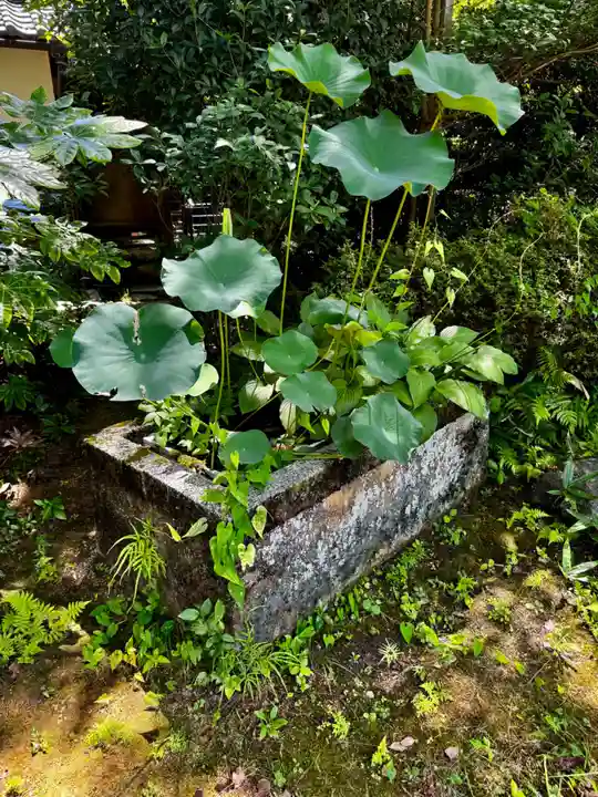 尊勝院(京都府)