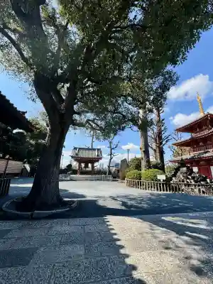 宝仙寺の{uncategorized: "未分類", other: "その他", undefined: "問題あり", building: "その他建物", grave: "お墓", sacred_gate: "鳥居", guardian: "狛犬", statue: "像", buddha: "仏像", history: "歴史", nature: "自然", garden: "庭園", animal: "動物", pagoda: "塔", temizu: "手水舎", mountain_gate: "山門・神門", sanctuary: "本殿・本堂", subordinate: "末社・摂社", art: "芸術", scenery: "景色", jizo: "地蔵", ema: "絵馬", goshuin: "御朱印", omikuji: "おみくじ", items: "授与品その他", amulet: "お守り", goshuincho: "御朱印帳", eats: "食事", festival: "お祭り", votive_dance: "神楽", shichigosan: "七五三参", wedding: "結婚式", experience: "体験その他", initially: "初詣", around: "周辺", anti_infection: "感染症対策"}