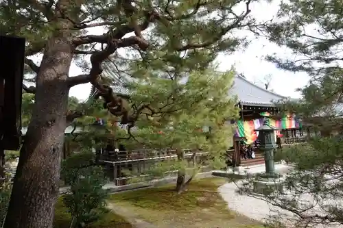 大覚寺の本殿・本堂