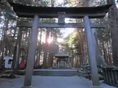 北口本宮冨士浅間神社の鳥居