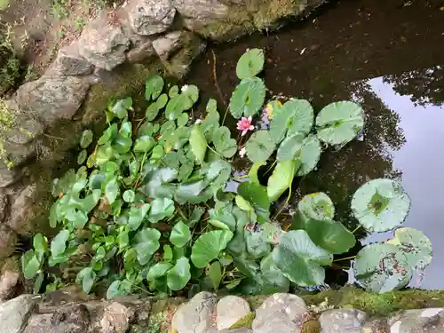 正法寺の庭園