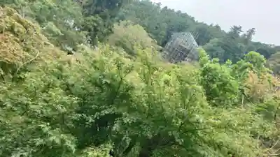 長谷寺(奈良県)