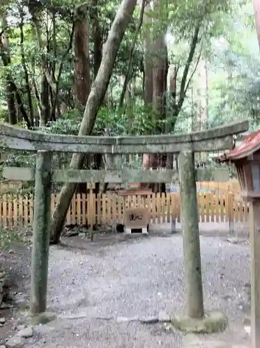 椿大神社の鳥居