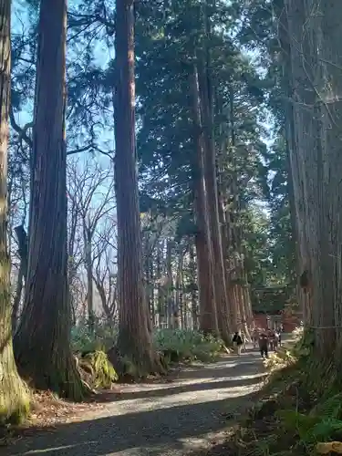 戸隠神社奥社(長野県)