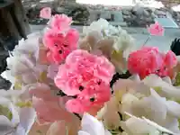 琴似神社(北海道)