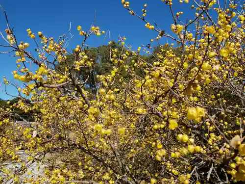板倉雷電神社(群馬県)