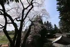 高木神社の景色