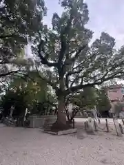 諏訪神社(三重県)