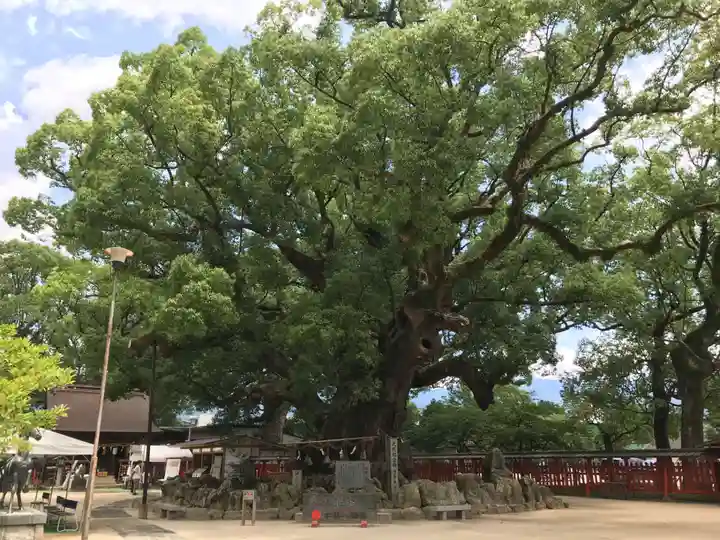 宇美八幡宮の自然