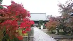 光明寺（粟生光明寺）の建物その他