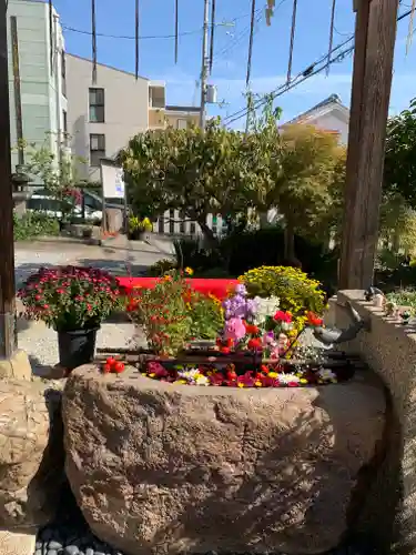 水堂須佐男神社の手水舎