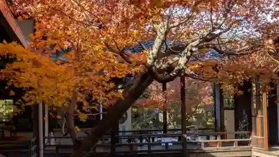 興聖寺(京都府)