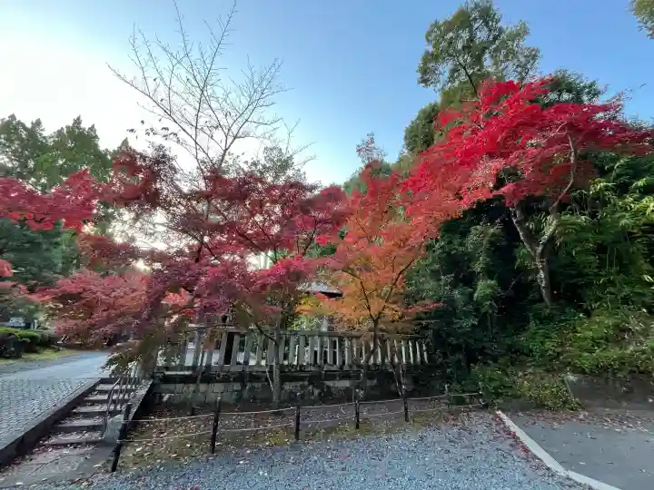 光明寺(粟生光明寺)(京都府)