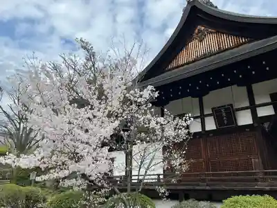 廣隆寺(京都府)