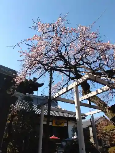 長善寺(東京都)