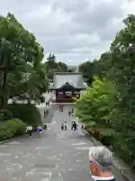 鶴岡八幡宮の{uncategorized: "未分類", other: "その他", undefined: "問題あり", building: "その他建物", grave: "お墓", sacred_gate: "鳥居", guardian: "狛犬", statue: "像", buddha: "仏像", history: "歴史", nature: "自然", garden: "庭園", animal: "動物", pagoda: "塔", temizu: "手水舎", mountain_gate: "山門・神門", sanctuary: "本殿・本堂", subordinate: "末社・摂社", art: "芸術", scenery: "景色", jizo: "地蔵", ema: "絵馬", goshuin: "御朱印", omikuji: "おみくじ", items: "授与品その他", amulet: "お守り", goshuincho: "御朱印帳", eats: "食事", festival: "お祭り", votive_dance: "神楽", shichigosan: "七五三参", wedding: "結婚式", experience: "体験その他", initially: "初詣", around: "周辺", anti_infection: "感染症対策"}