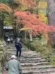 百済寺の建物その他