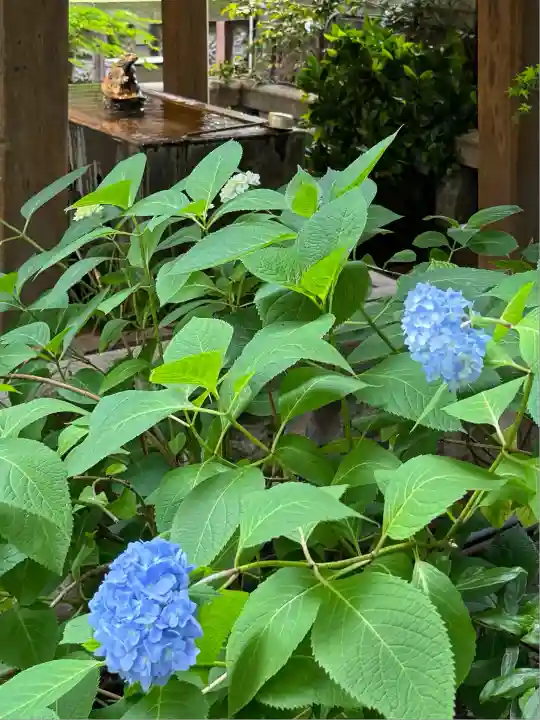 小野照崎神社(東京都)