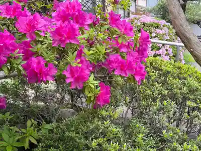 西方山極楽寺(岐阜県)