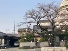 浄心寺の建物その他