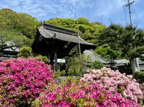 清見寺(静岡県)