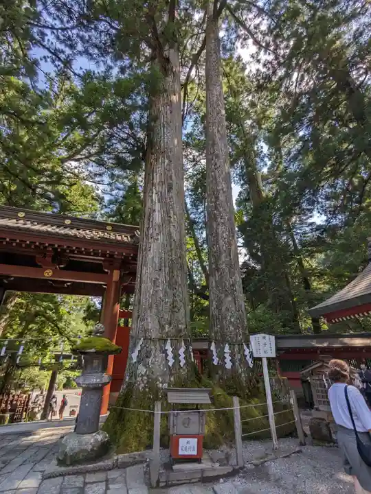 日光二荒山神社(栃木県)