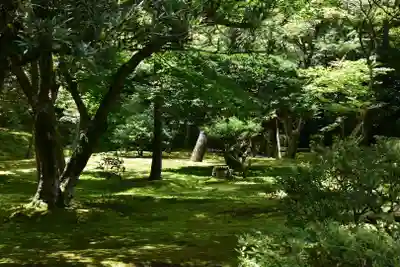 慈照寺（慈照禅寺・銀閣寺）のその他建物