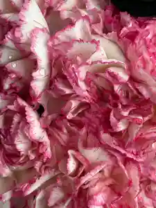 上尾御嶽神社の手水舎(2025年10月04日(土) 16時04分49秒投稿)