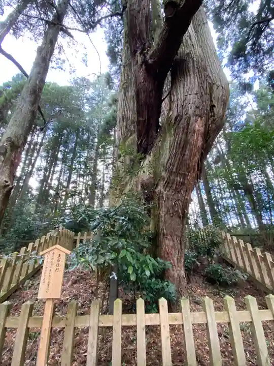幣立神宮(熊本県)