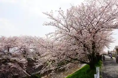 柳澤神社の周辺