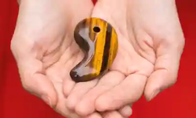 諫早神社（九州総守護  四面宮）(長崎県)