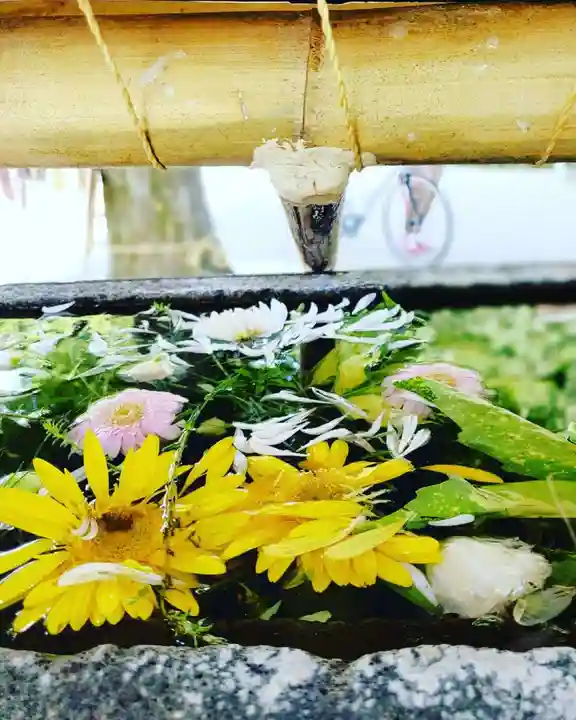 鳩森八幡神社の手水舎