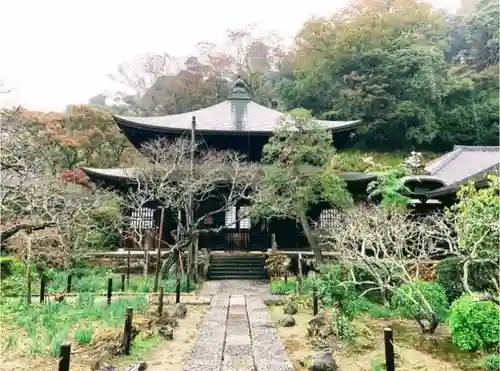 瑞泉寺の本殿