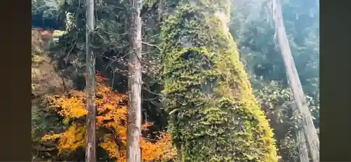貴船神社(京都府)