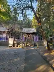 下野 星宮神社(栃木県)