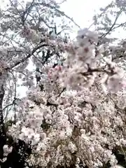 上野東照宮の自然