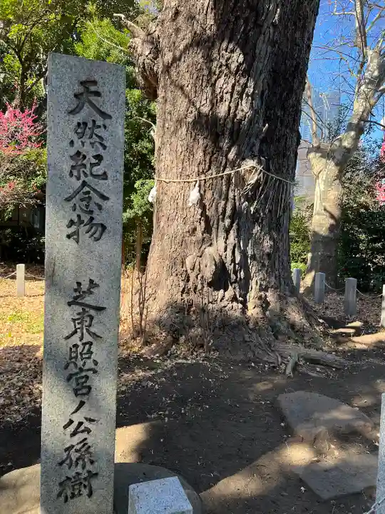 芝東照宮の自然