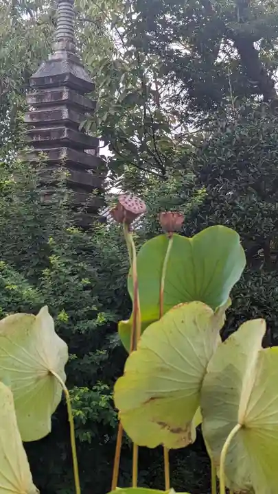 後白河院御聖蹟 法住寺(京都府)