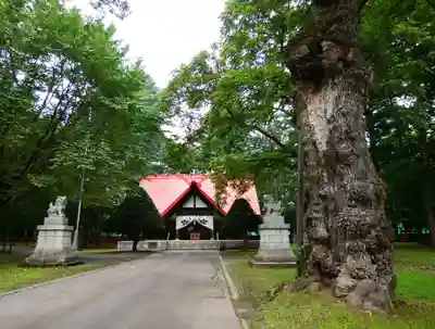 帯廣神社のその他建物