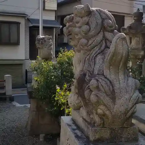 亀戸水神社の狛犬