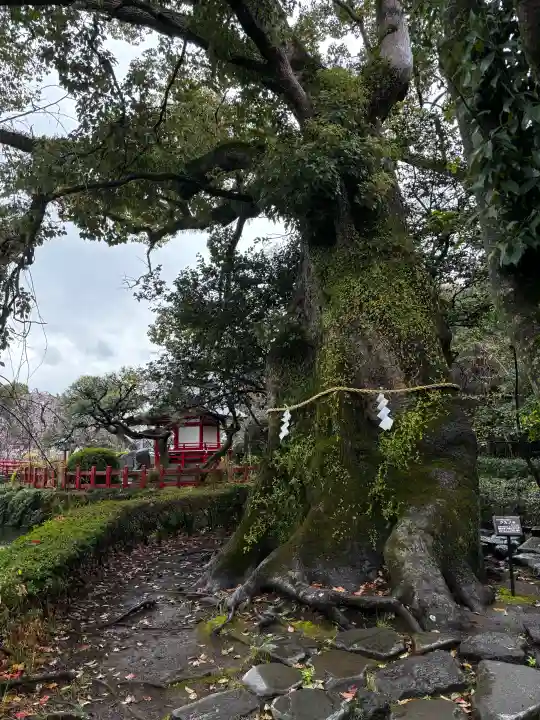 三嶋大社の{uncategorized: "未分類", other: "その他", undefined: "問題あり", building: "その他建物", grave: "お墓", sacred_gate: "鳥居", guardian: "狛犬", statue: "像", buddha: "仏像", history: "歴史", nature: "自然", garden: "庭園", animal: "動物", pagoda: "塔", temizu: "手水舎", mountain_gate: "山門・神門", sanctuary: "本殿・本堂", subordinate: "末社・摂社", art: "芸術", scenery: "景色", jizo: "地蔵", ema: "絵馬", goshuin: "御朱印", omikuji: "おみくじ", items: "授与品その他", amulet: "お守り", goshuincho: "御朱印帳", eats: "食事", festival: "お祭り", votive_dance: "神楽", shichigosan: "七五三参", wedding: "結婚式", experience: "体験その他", initially: "初詣", around: "周辺", anti_infection: "感染症対策"}