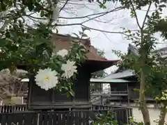 斑鳩寺の建物その他